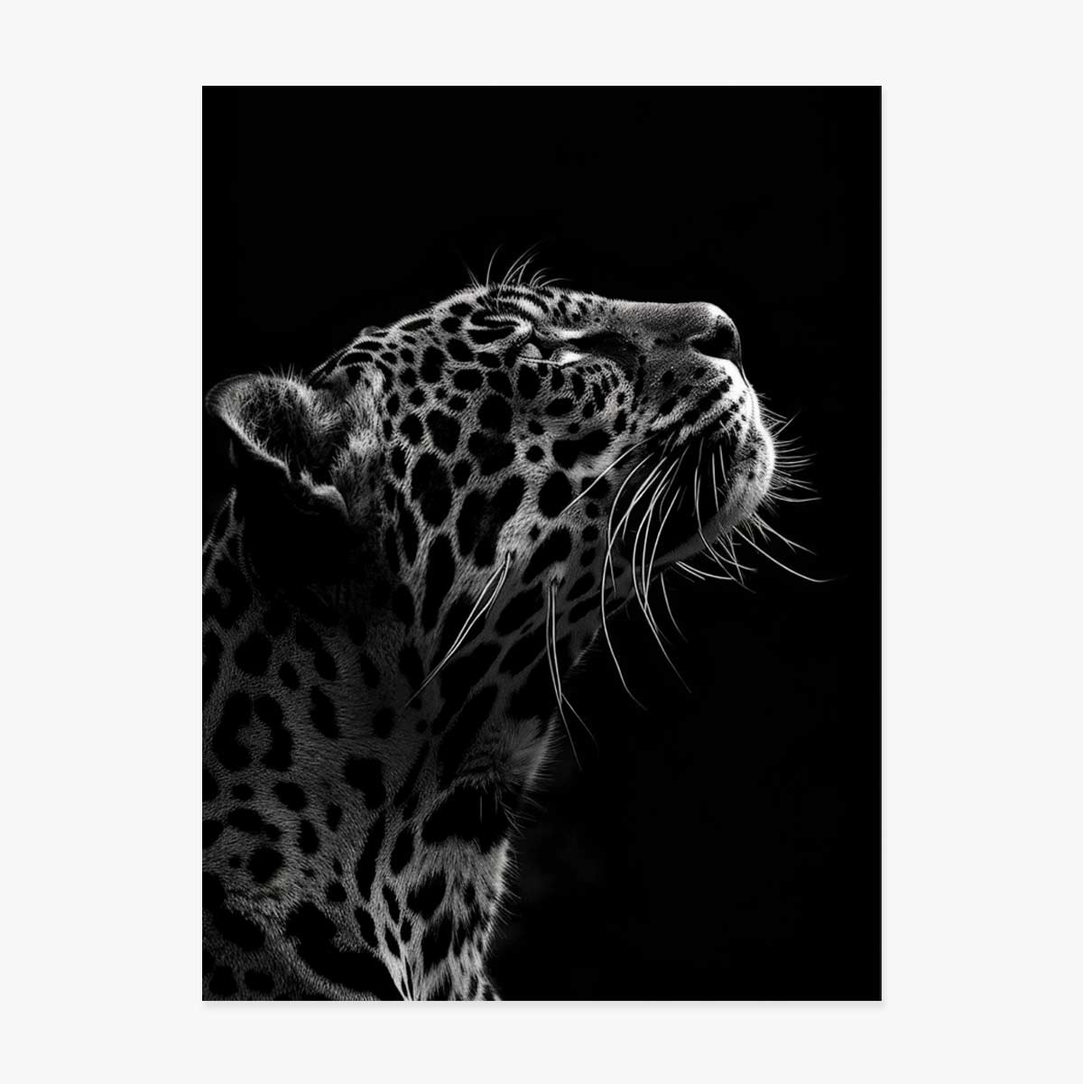Póster del Jaguar en blanco y negro