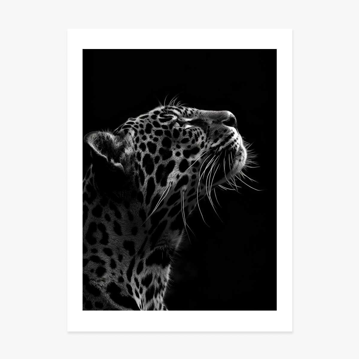 Póster del Jaguar en blanco y negro