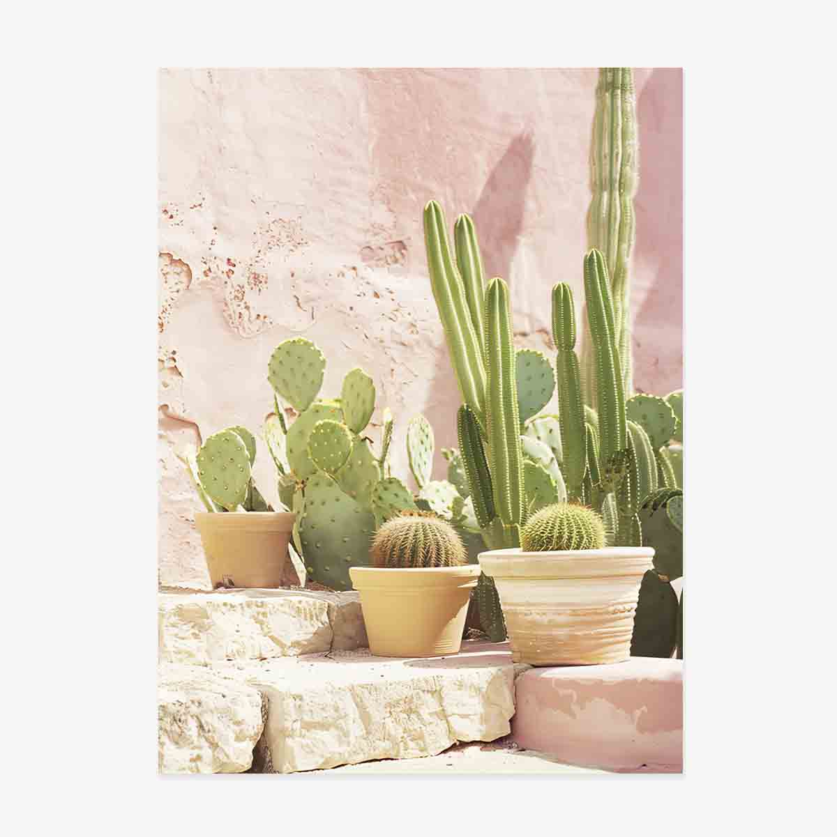 Póster de cactus