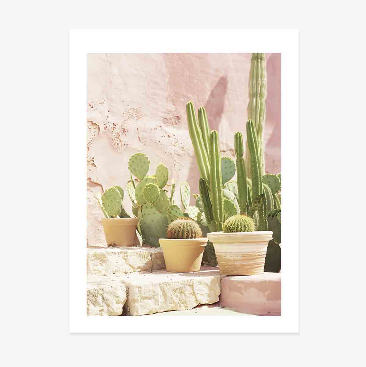 Póster de cactus