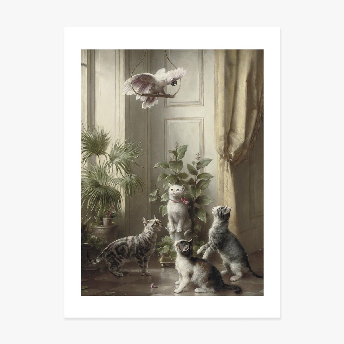 Lámina de Carl Reichert, «Gatos y cacatúas», 1898
