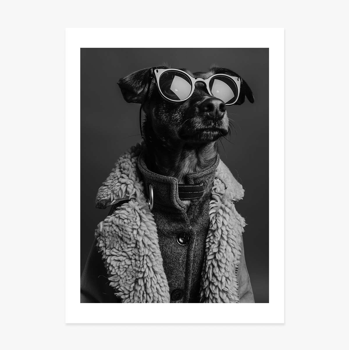 Póster de un perro