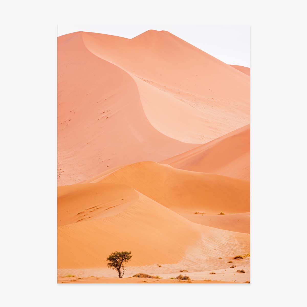 Póster «Dunes»
