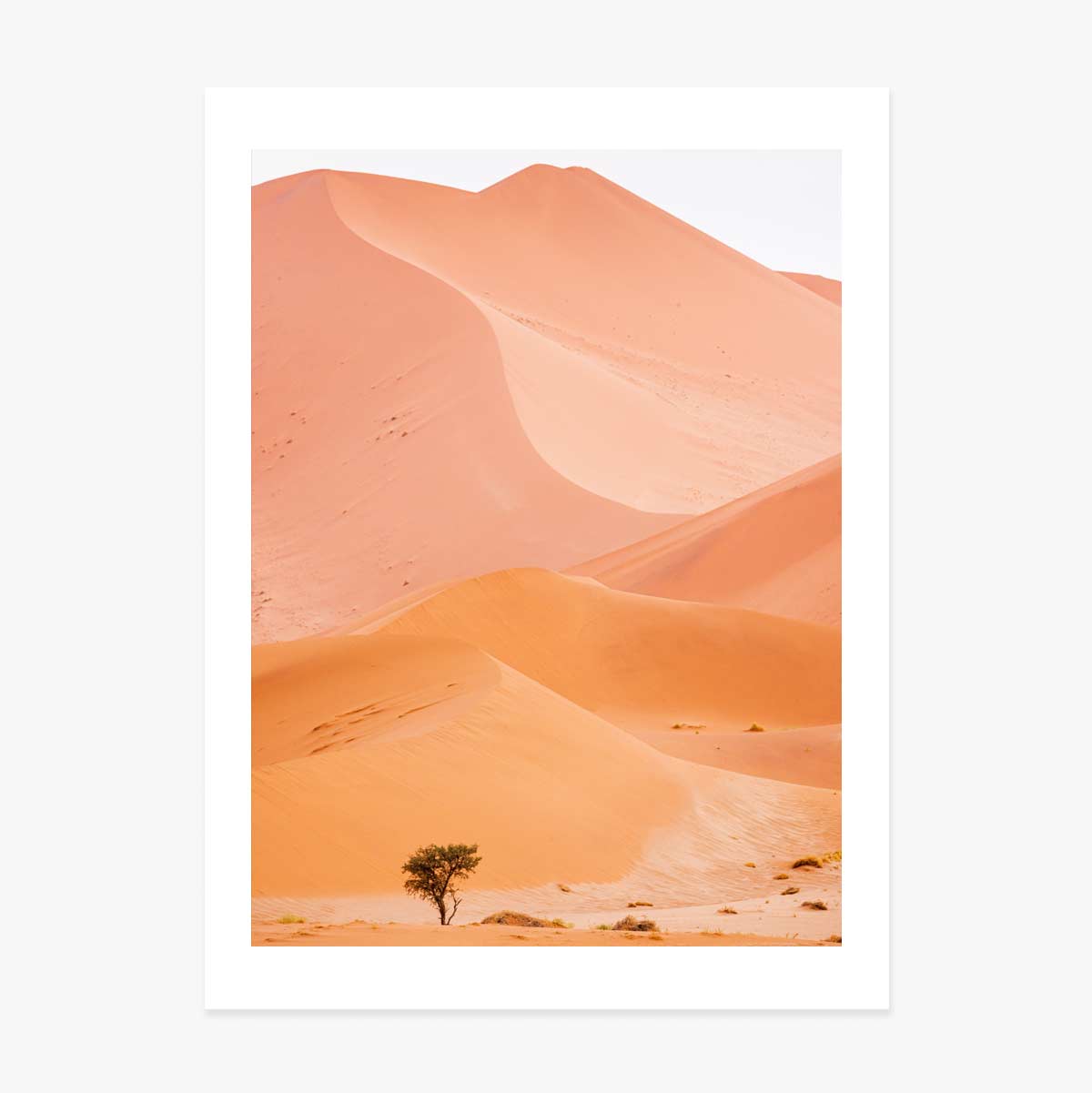 Póster «Dunes»