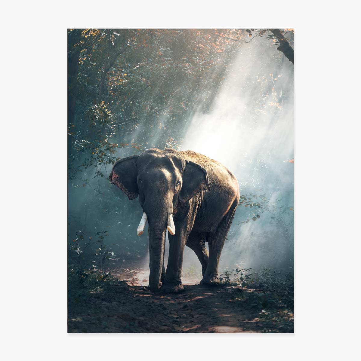 Póster de un elefante
