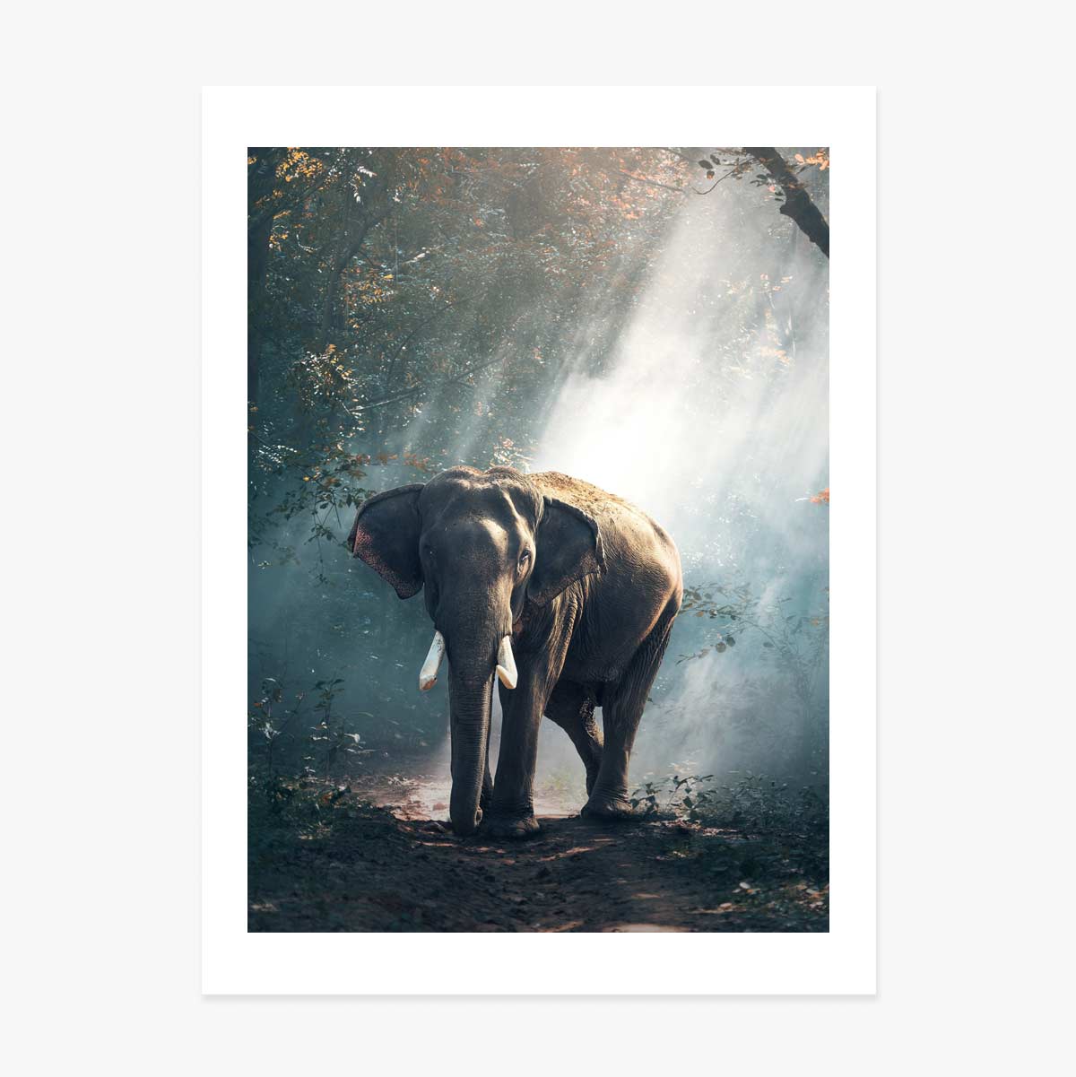 Póster de un elefante