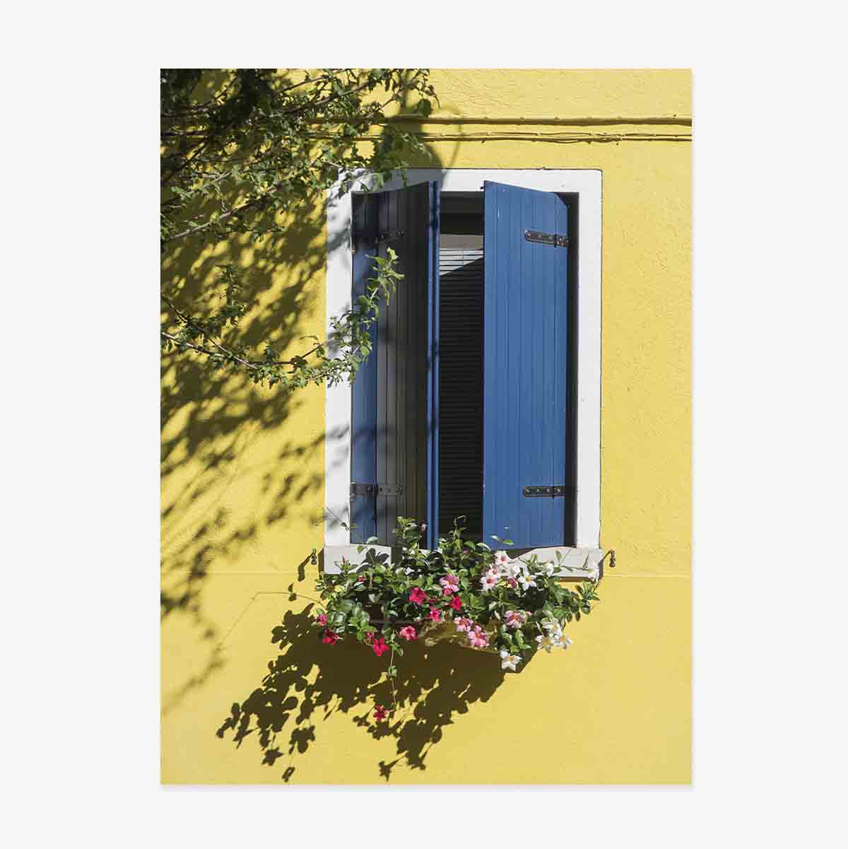 Póster «La ventana azul con flores»