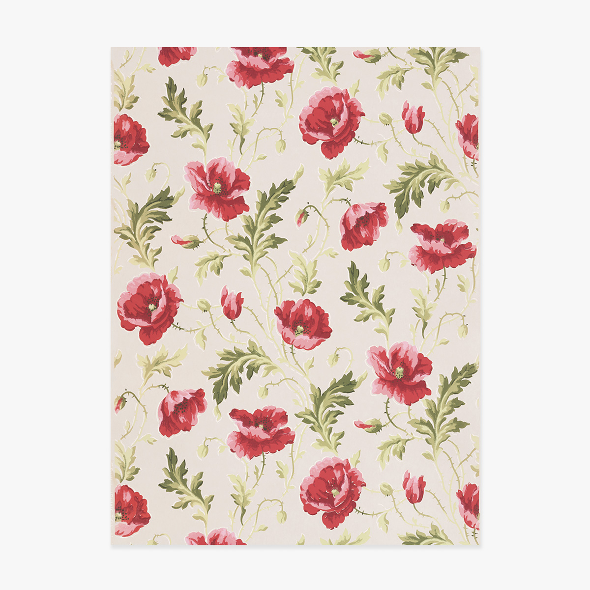 Póster de flores rosas