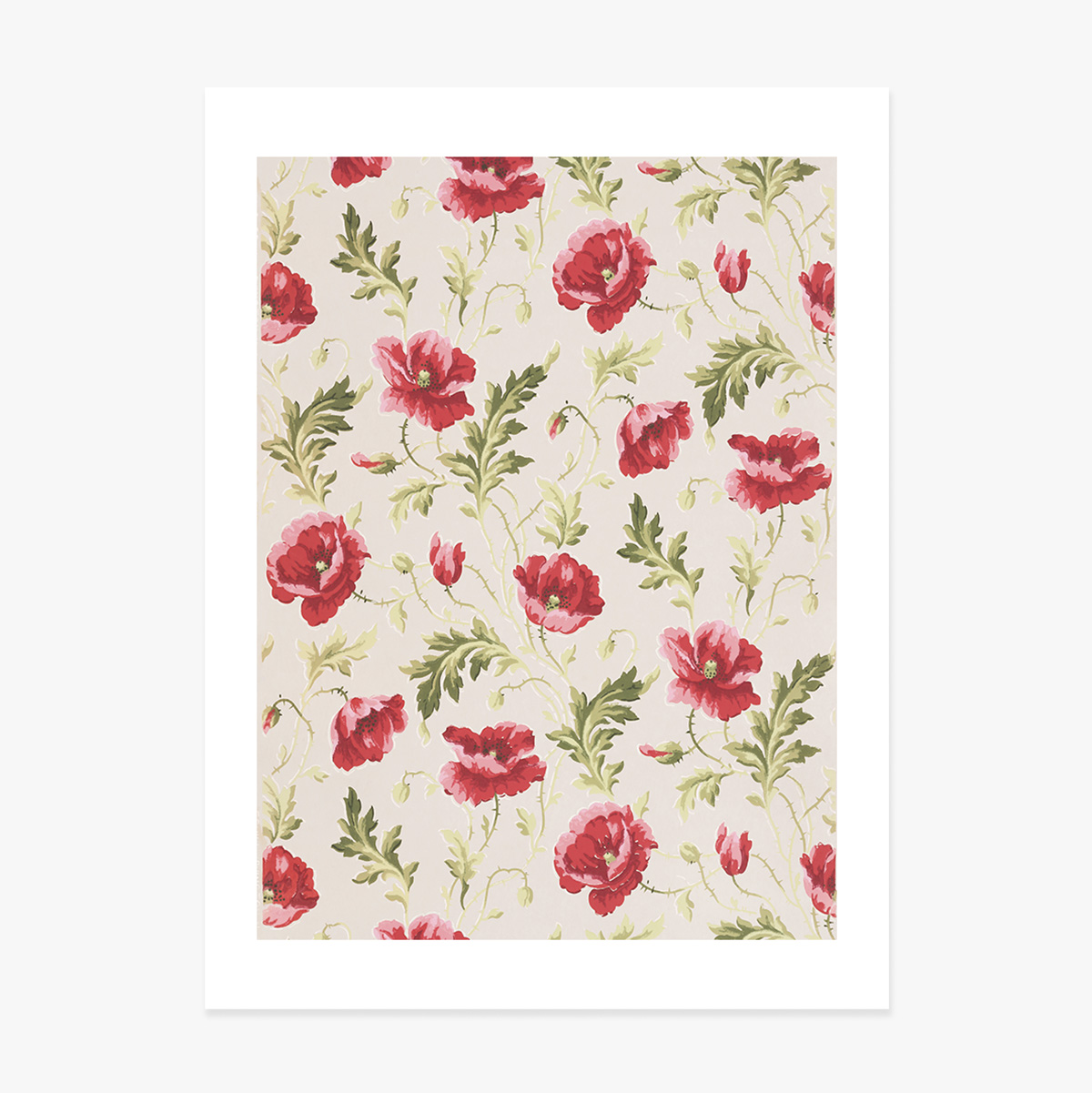 Póster de flores rosas