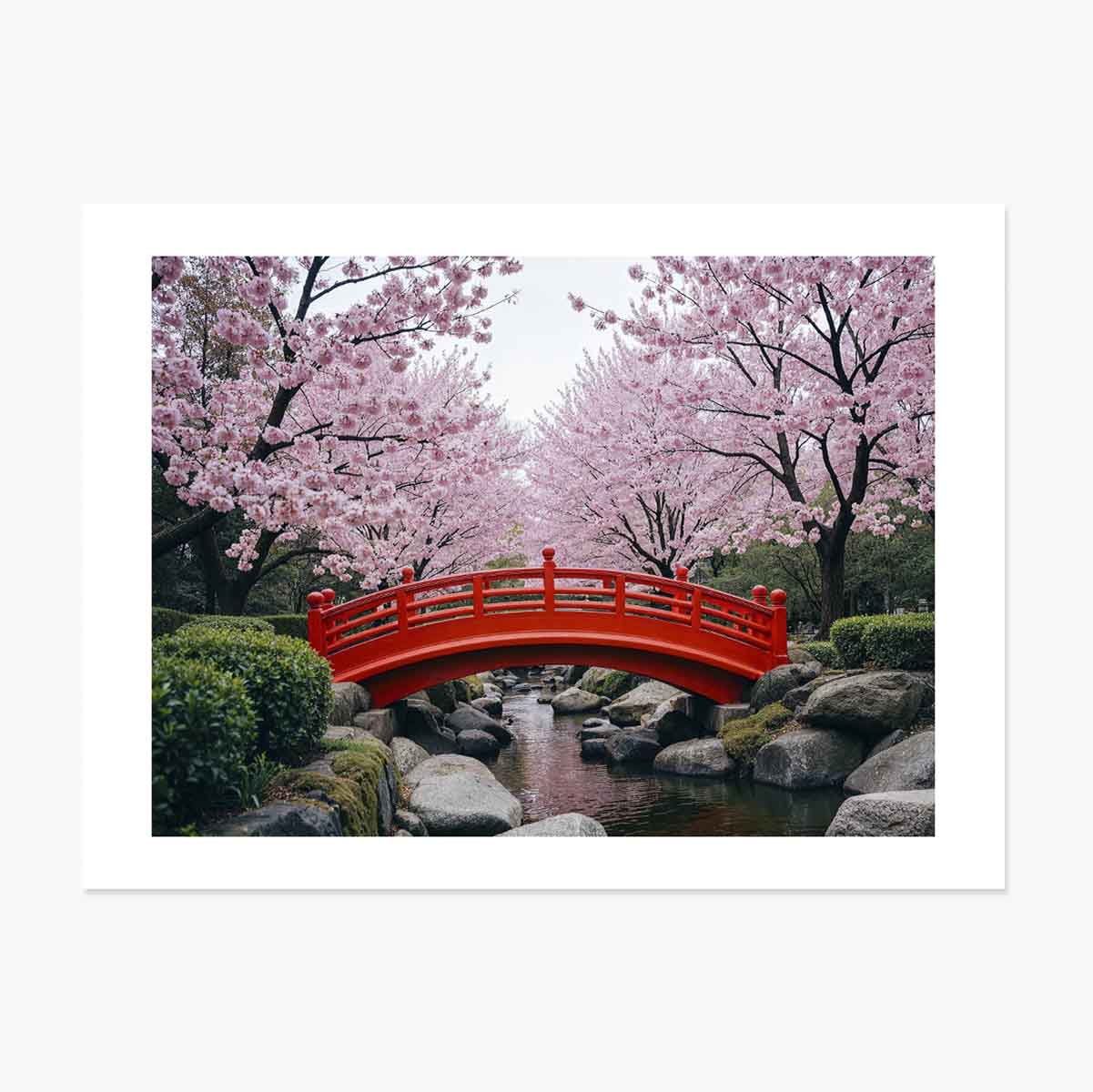 Póster «Jardín japonés»: cerezos en flor