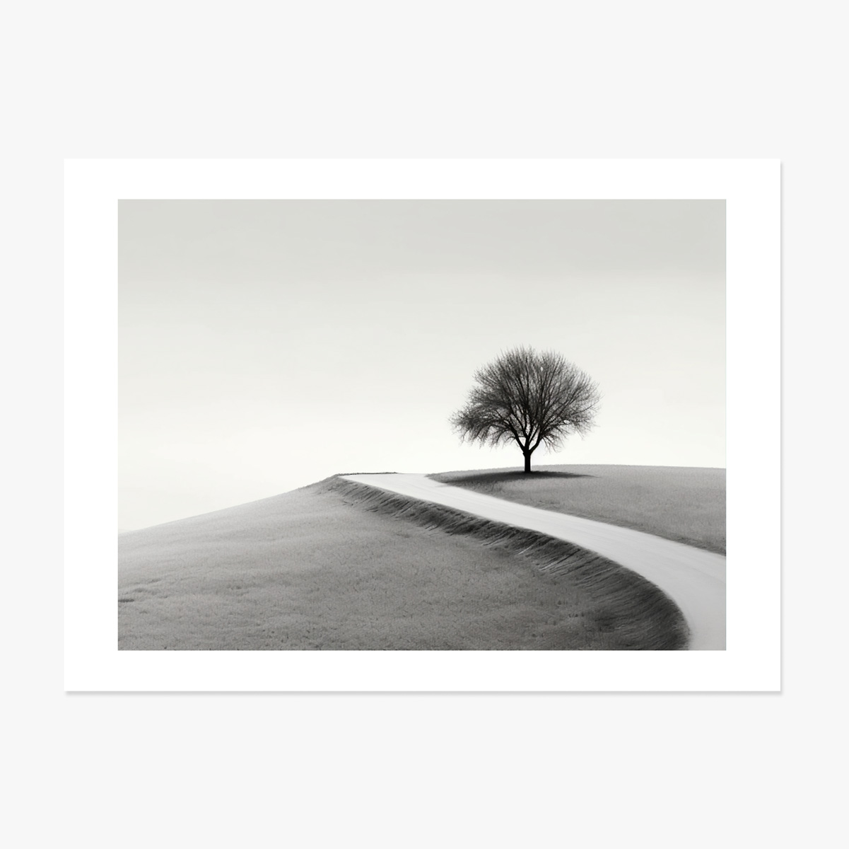 Póster apaisado - El árbol solitario