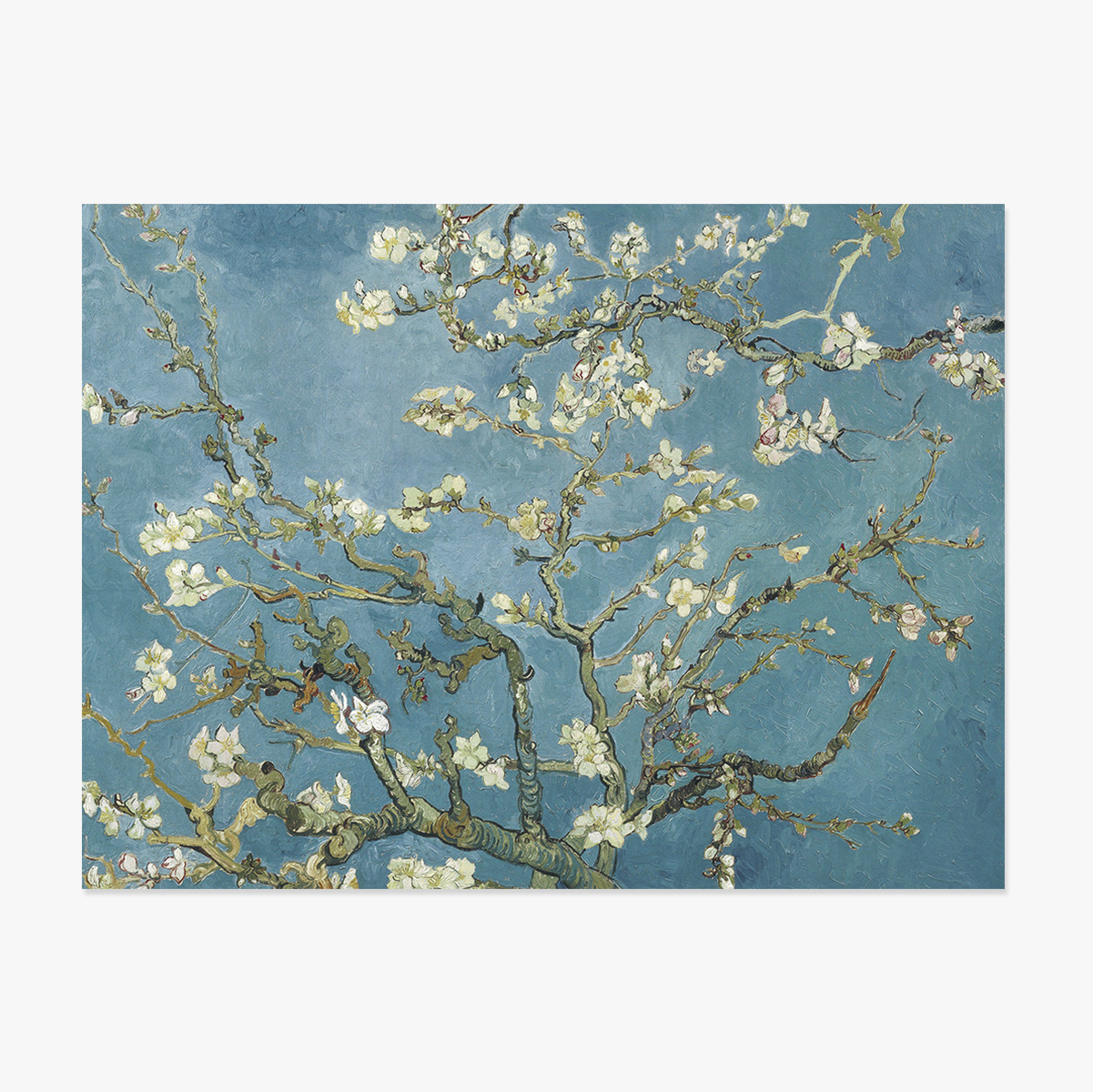 Póster apaisado - Vincent Van Gogh - Ramas de almendro en flor, 1890