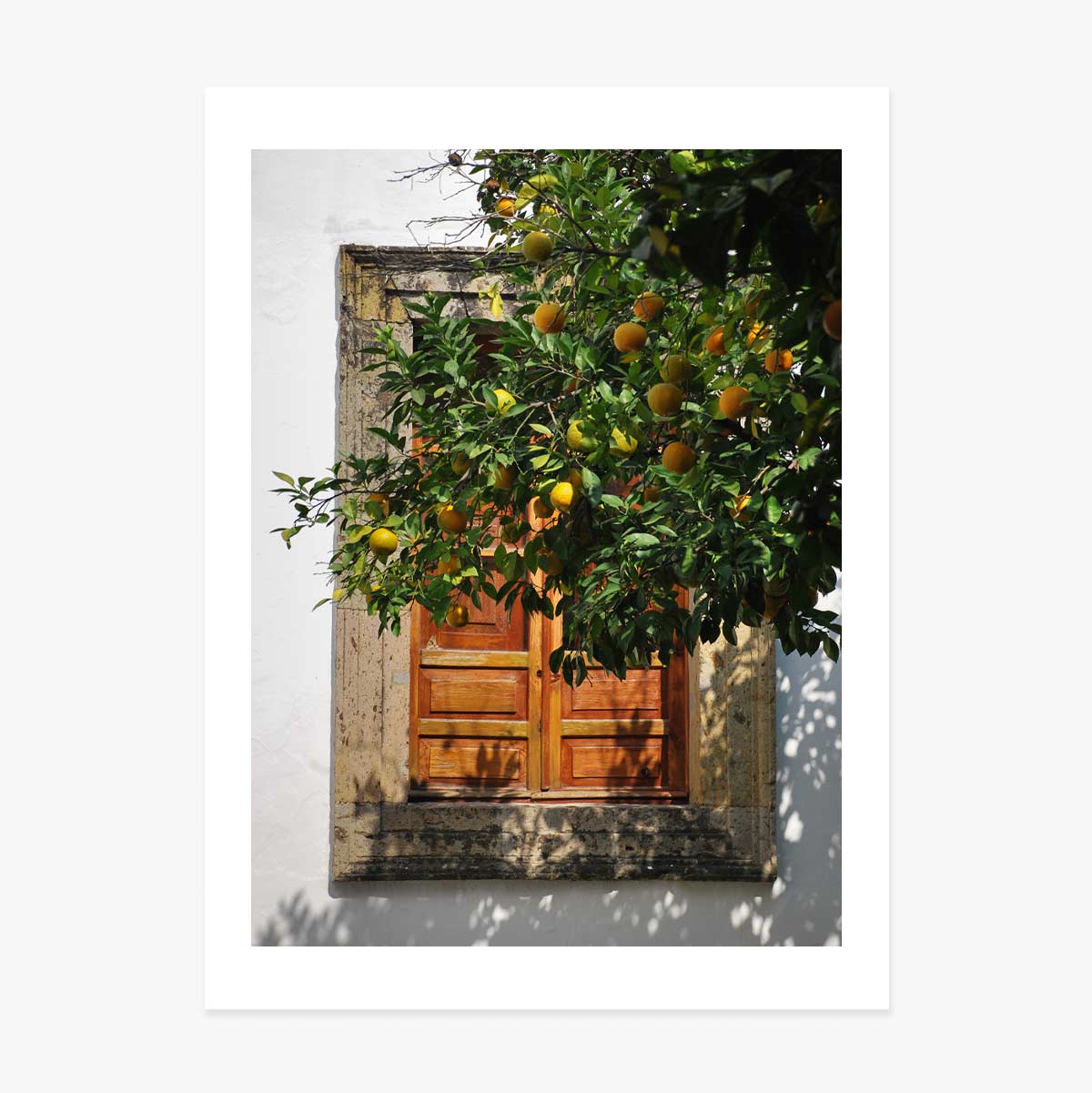 Póster «Orange tree»