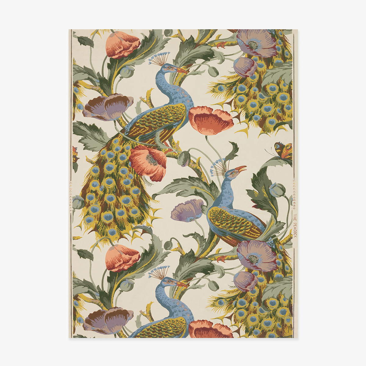 Póster vintage de pavos reales y amapolas