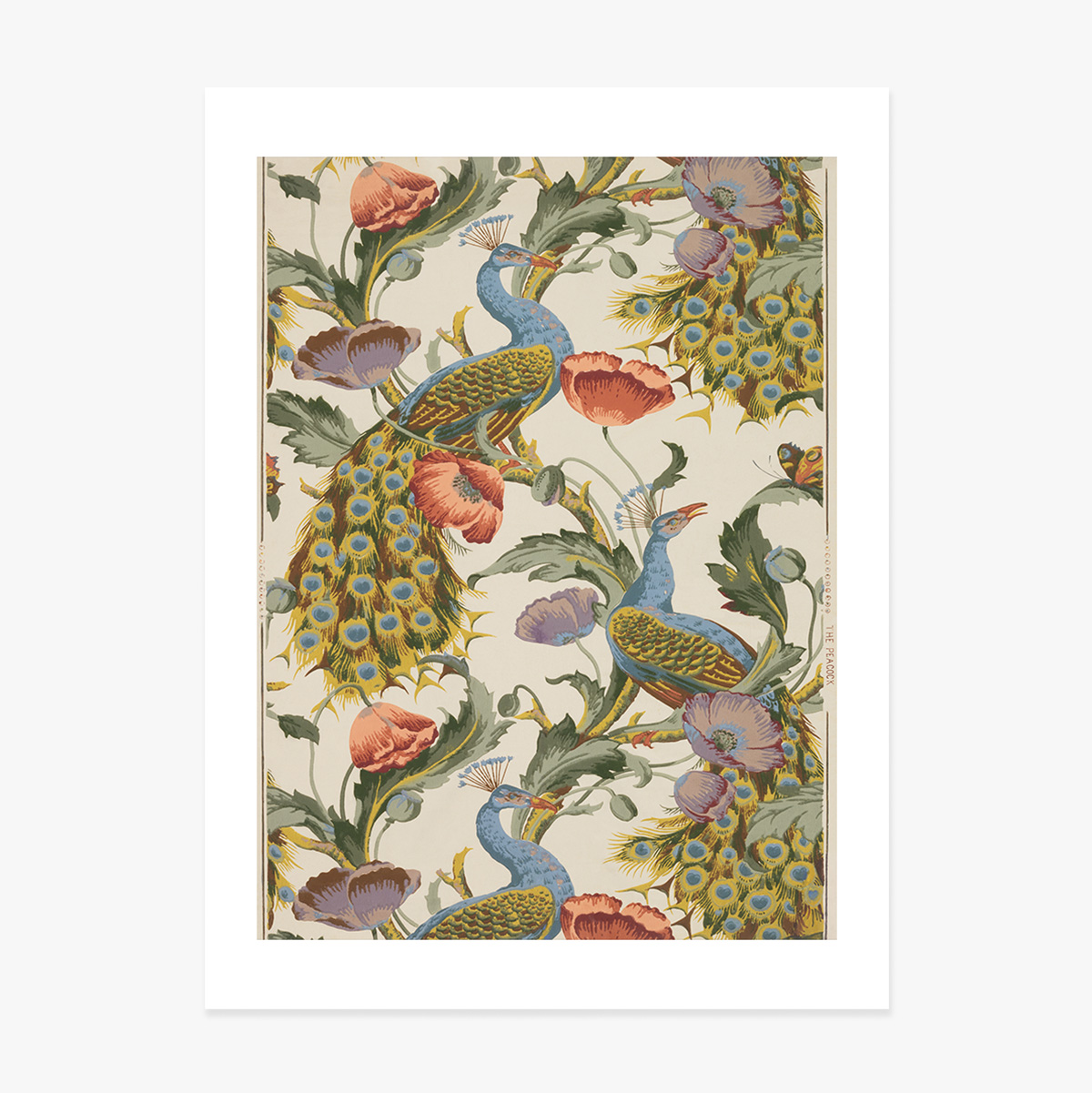 Póster vintage de pavos reales y amapolas