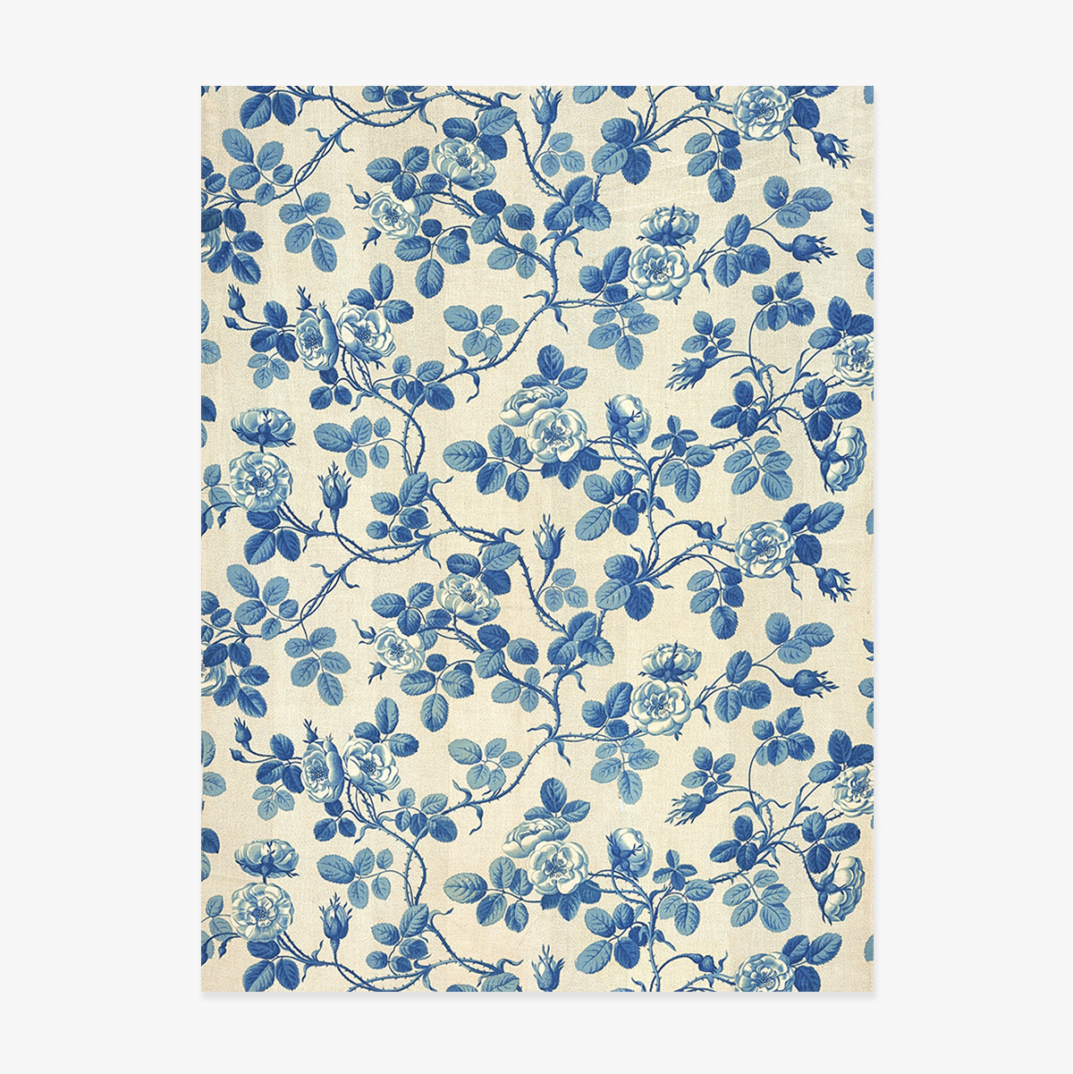 Póster «Plantas azules»