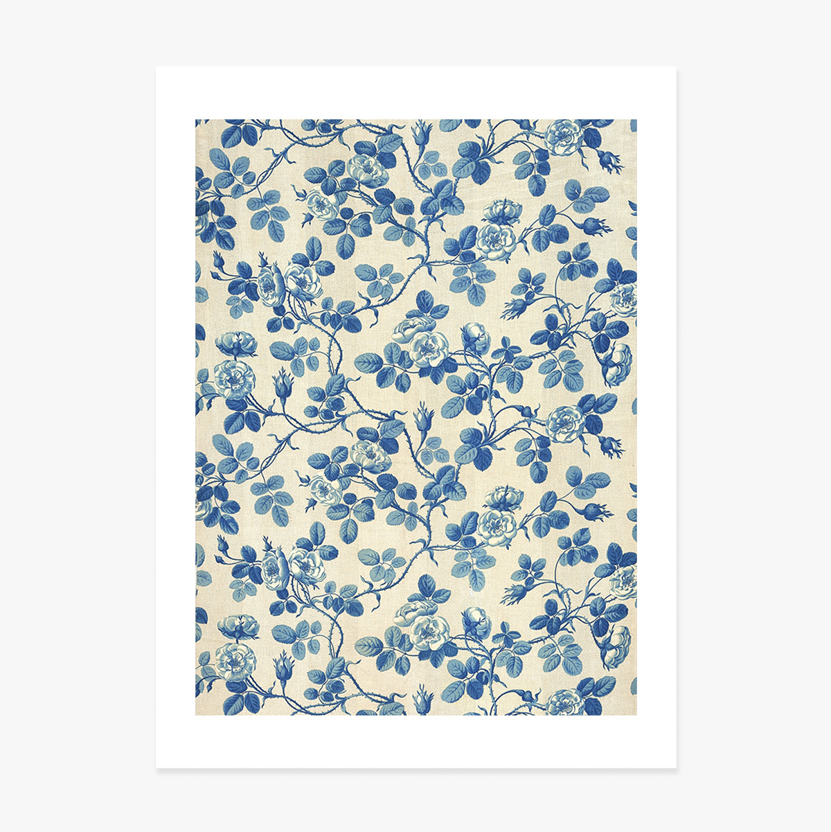 Póster «Plantas azules»