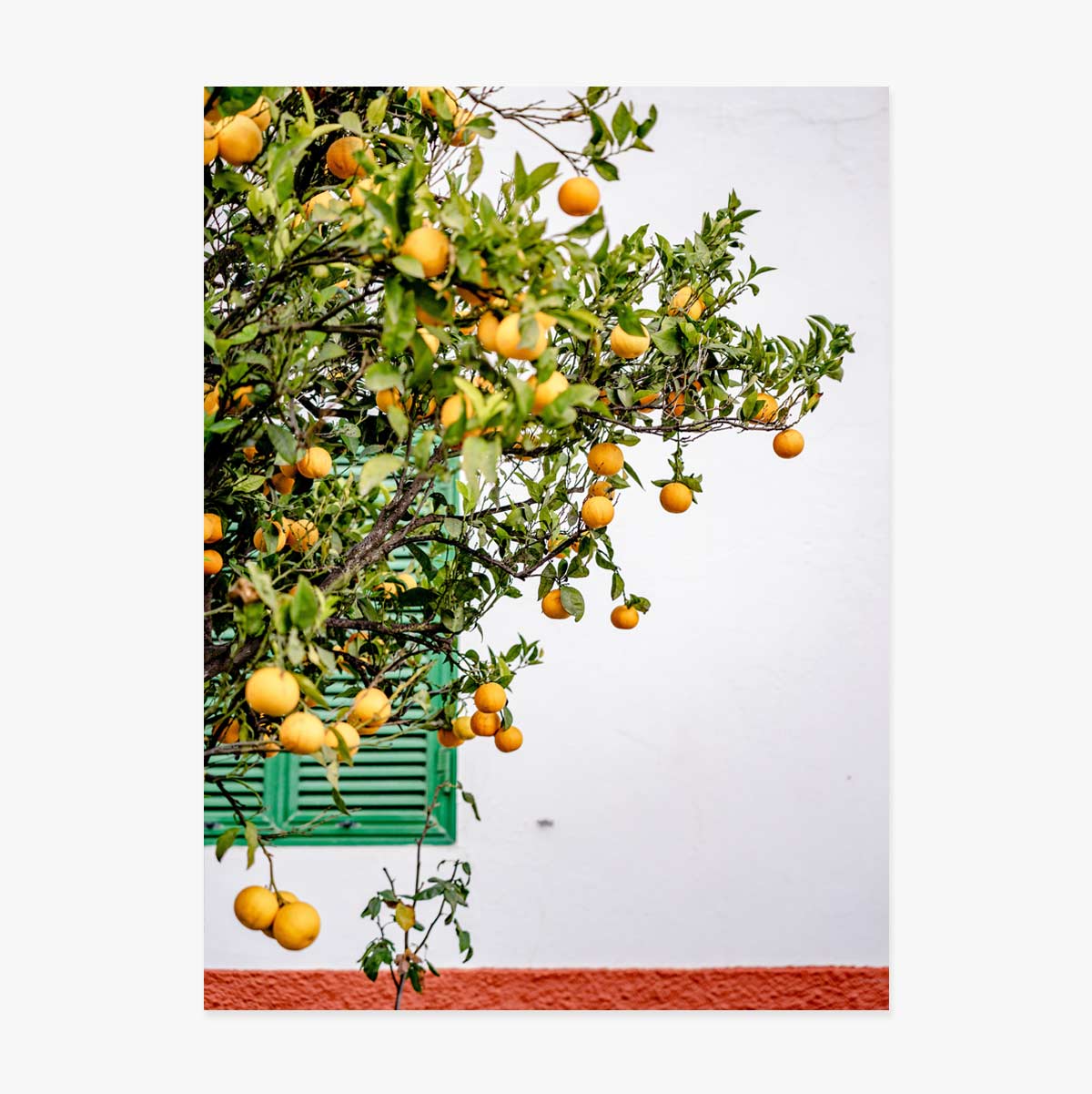 Cartel «Tangerines»