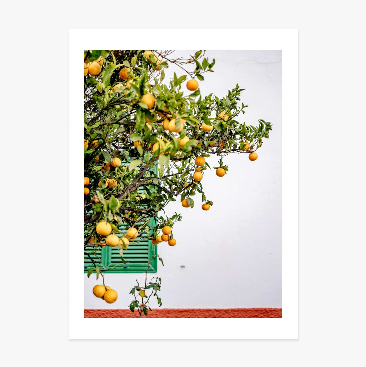 Cartel «Tangerines»