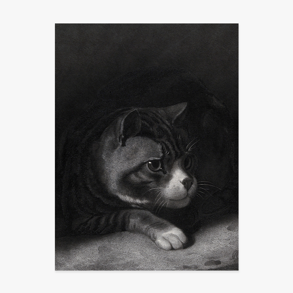 Lámina de William Gil, «El gato vigilante que observa entre las sombras», 1855