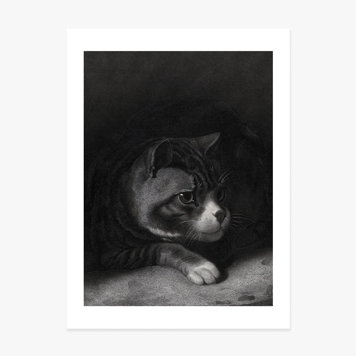 Lámina de William Gil, «El gato vigilante que observa entre las sombras», 1855